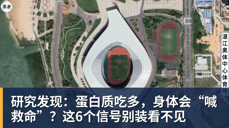 篮球下注研究发现：蛋白质吃多，身体会“喊救命”？这6个信号别装看不见